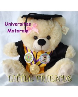 Boneka Wisuda Universitas Mataram - Teknik (30 cm)